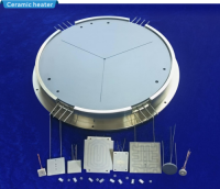 Ceramic heater