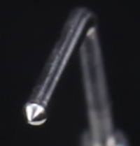 EFO Wand