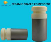 CERAMIC BRAZED COMPONENT